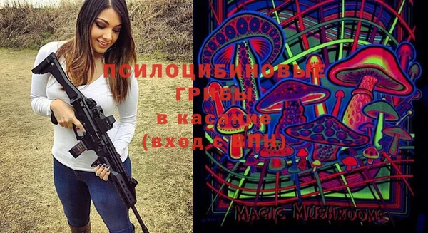 2c-b Баксан