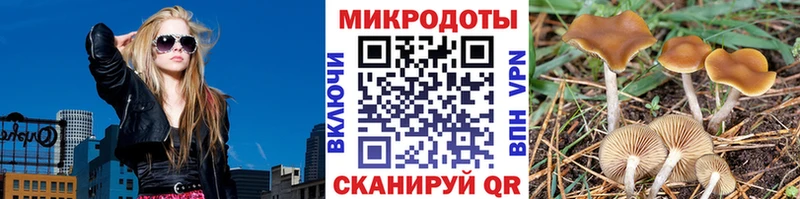 Галлюциногенные грибы Cubensis Знаменск